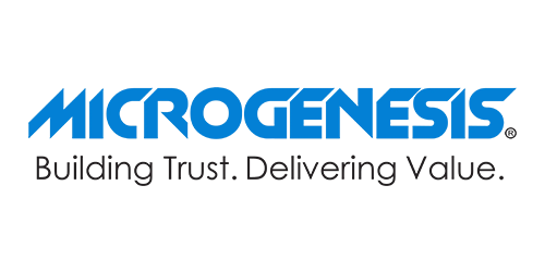 Microgenesis